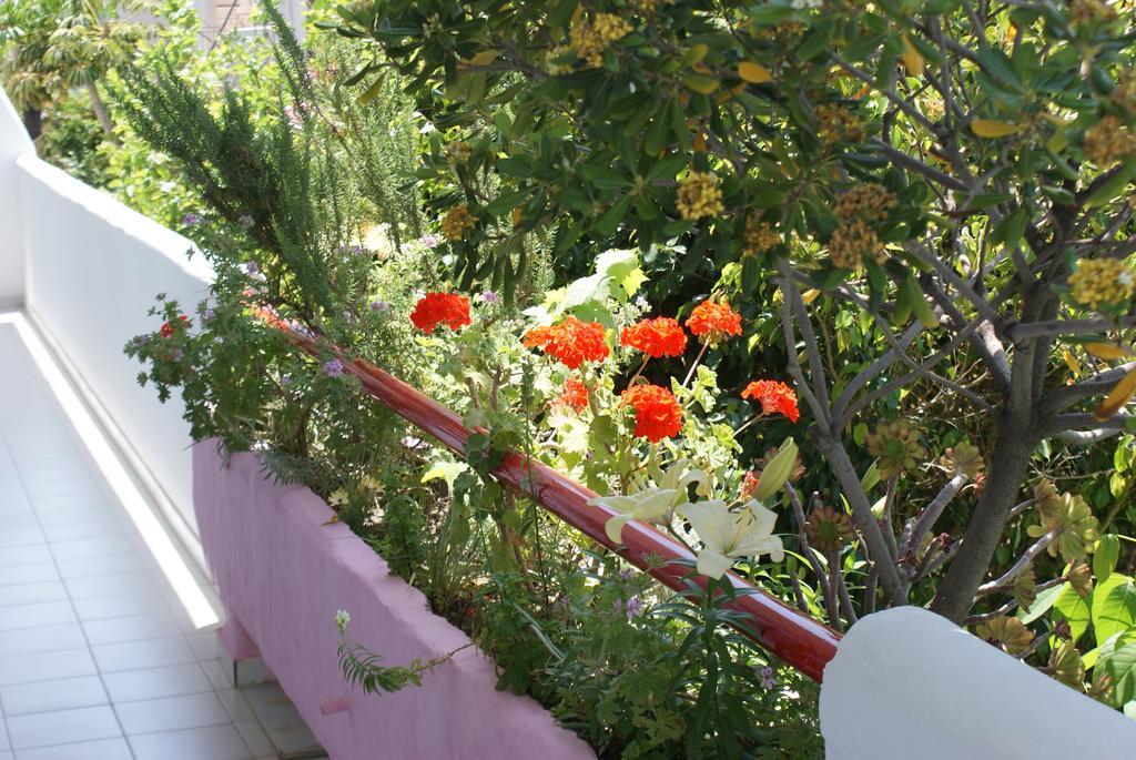 Stam & John Apartments Kos Exteriér fotografie
